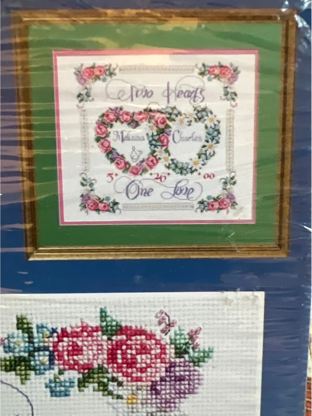 Janlynn Counted Cross Stitch Kit Two Hearts One Love 14